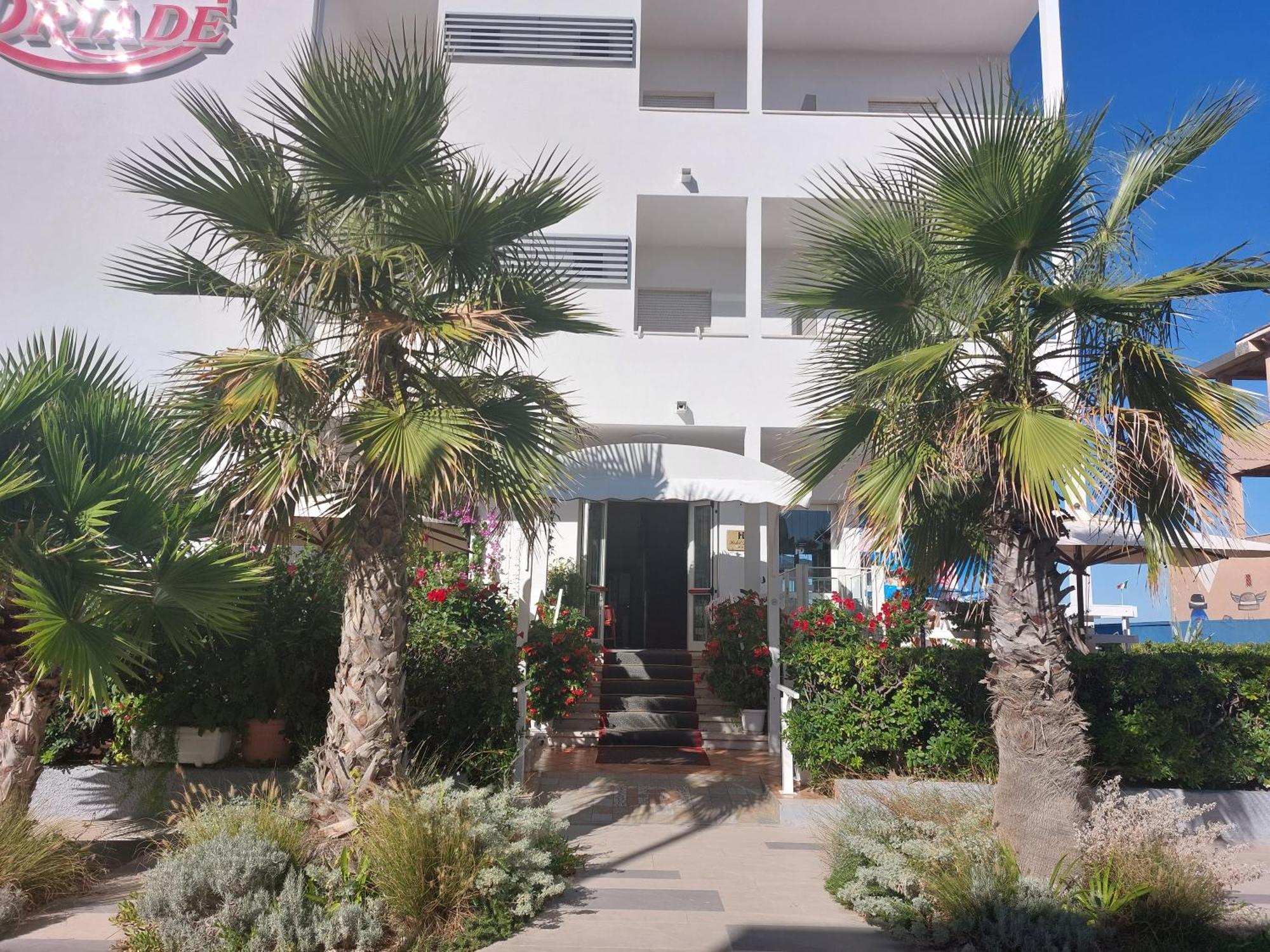 רימיני Hotel Driade Sul Mare מראה חיצוני תמונה
