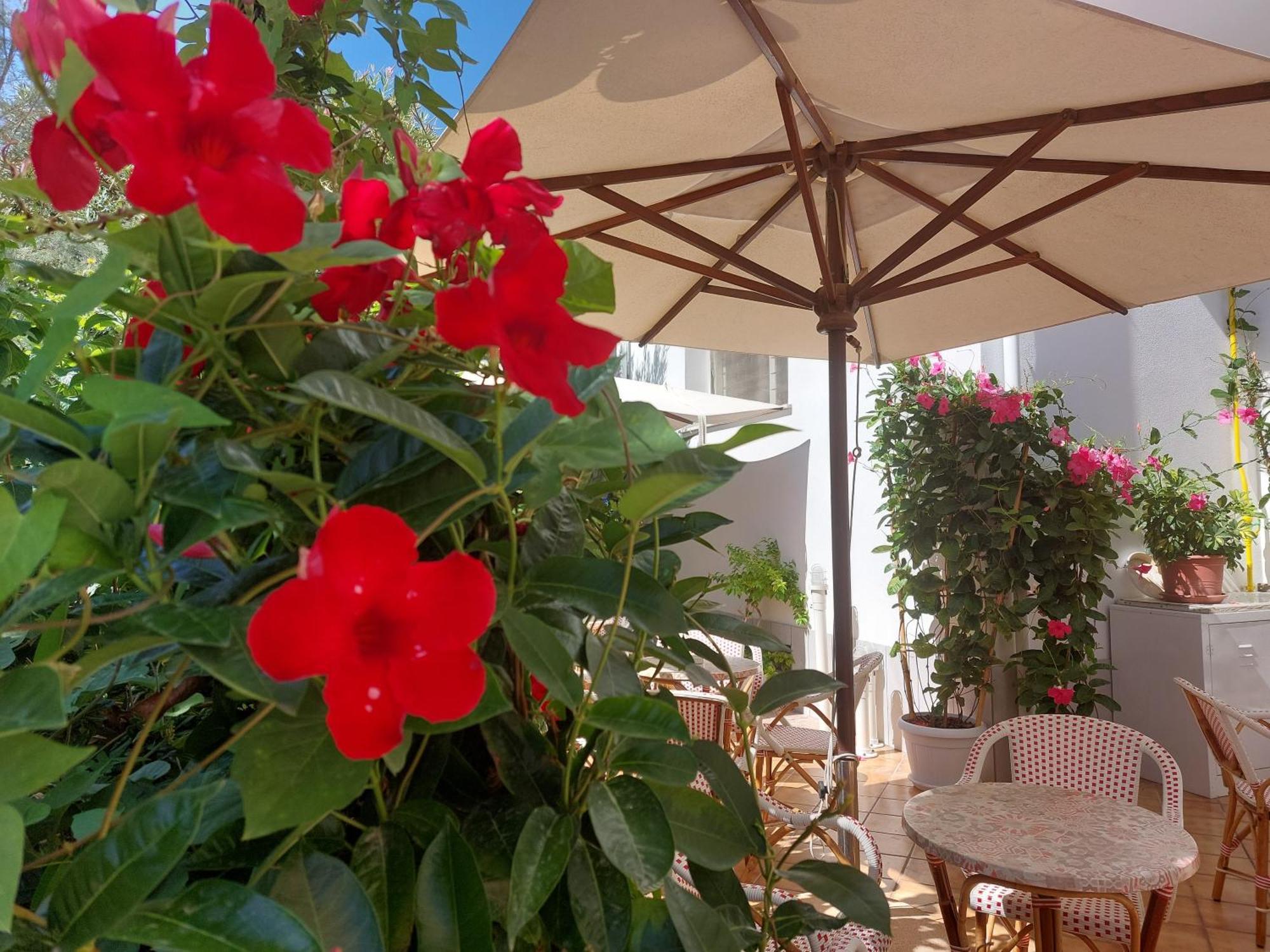 רימיני Hotel Driade Sul Mare מראה חיצוני תמונה